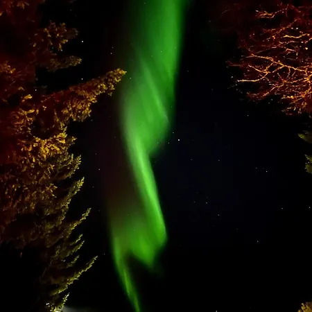 Modern With Sea View Daire *